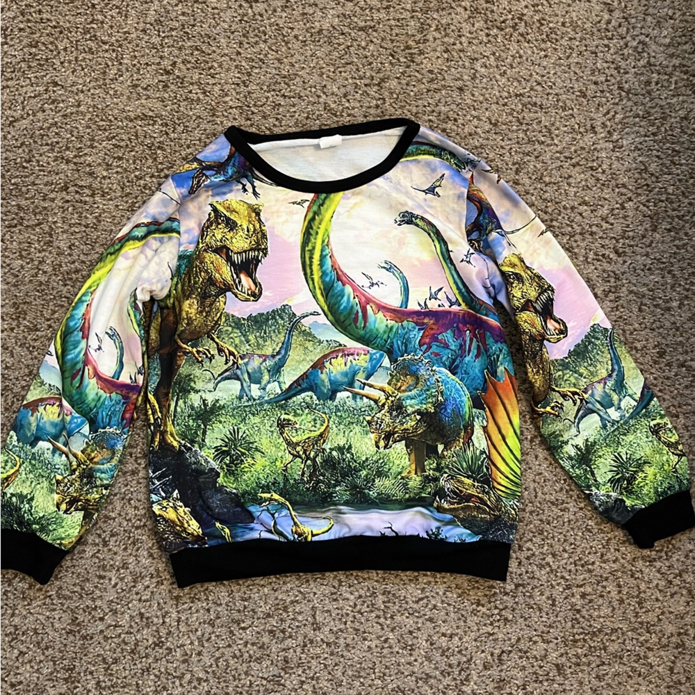 Dinosaur sweatshirt